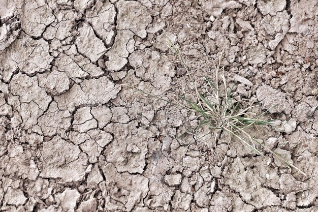 Primer plano del campo agrietado