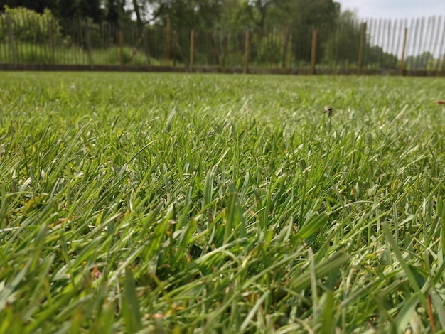 Foto primer plano de un campo de fútbol