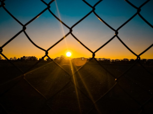 Primer plano del campo de siluetas contra el cielo durante la puesta de sol