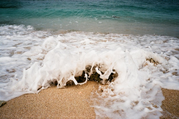 Foto primer plano de un cangrejo en la playa