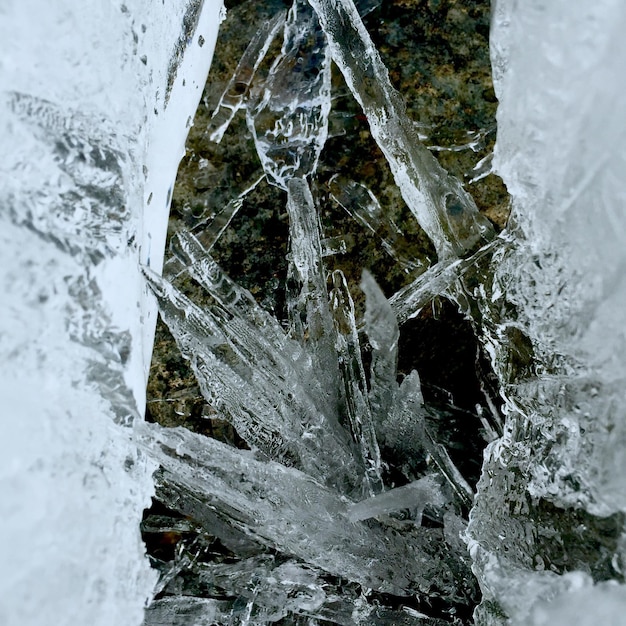 Foto primer plano de los caramelos de hielo en el agua