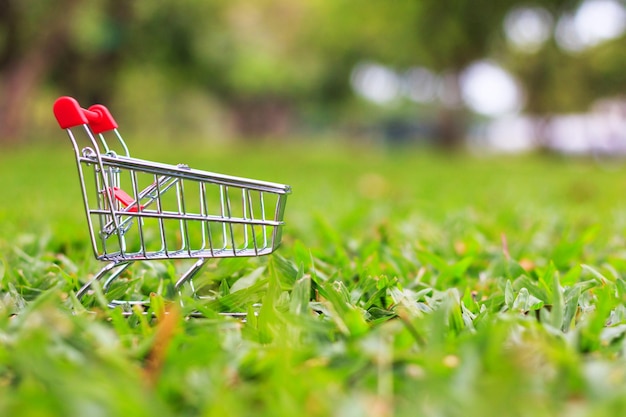 Primer plano del carrito de compras en el campo