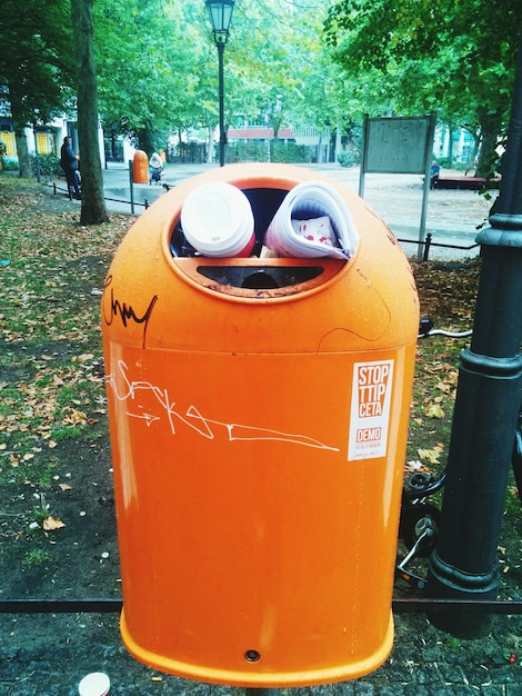 Foto primer plano de un cartel en un árbol