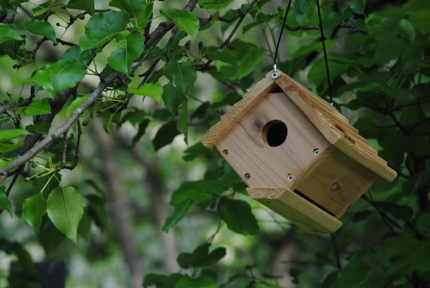 Primer plano de una casa de pájaros en un árbol