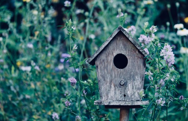 Foto primer plano de la casa de los pájaros por las plantas