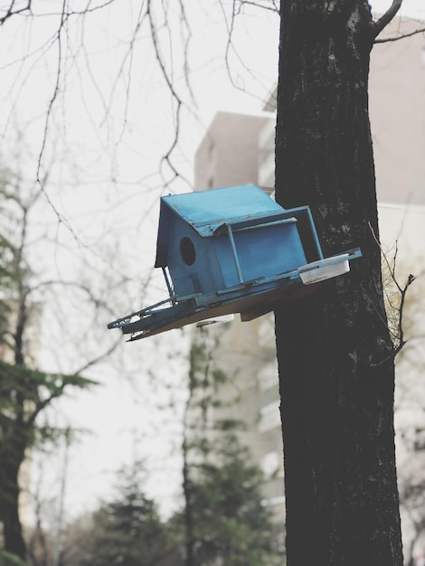 Foto primer plano de una casa de pájaros en un poste de madera