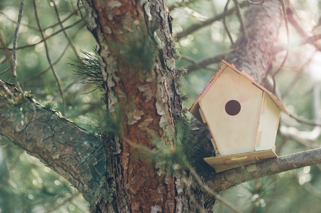 Primer plano de la casa de los pájaros en la rama