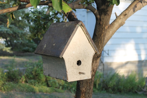 Primer plano de la casa de los pájaros