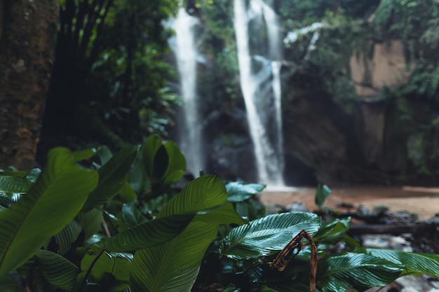 Foto primer plano de una cascada en el bosque