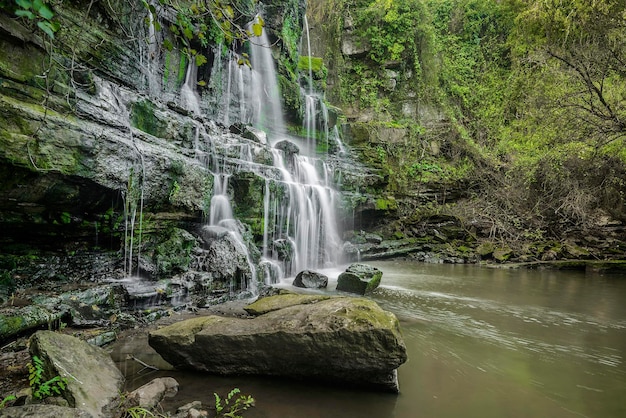Primer plano de la cascada contra los árboles