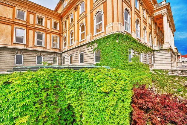 Primer plano del castillo real de Budapest durante el día. Hungría