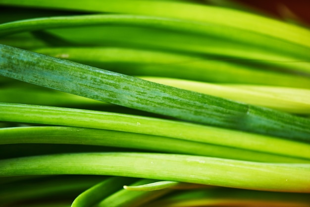 Primer plano de cebolla verde