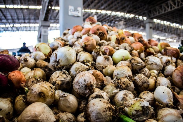 Primer plano de las cebollas