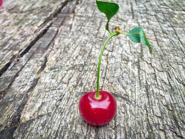 Foto primer plano de la cereza en la mesa