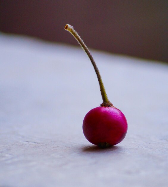 Foto primer plano de la cereza