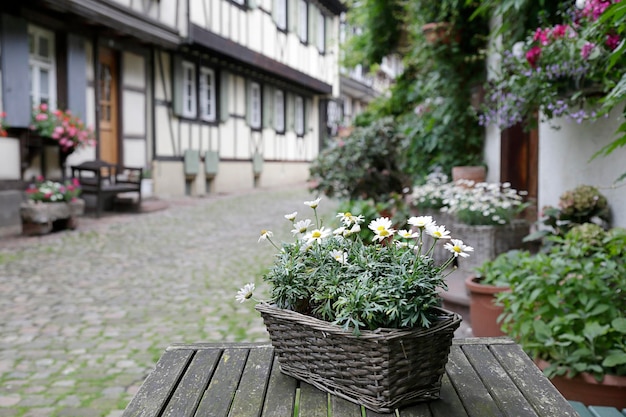 En primer plano una cesta con margaritas en el fondo (fuera de foco) calle histórica Engelgasse en el casco antiguo de Gengenbach, Selva Negra, Baden-Wurttemberg, Alemania