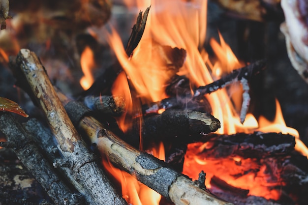 Primer plano de chimenea brillante con troncos y ramas