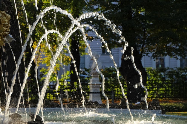 Primer plano de chorros de fuente y salpicaduras en los rayos del atardecer en el parque de la ciudad de otoño