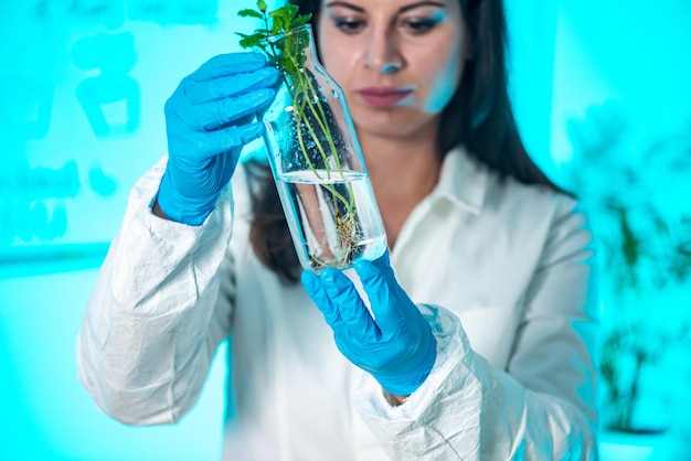 Foto primer plano de una científica con hojas de menta en una botella en un laboratorio