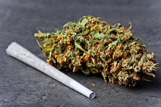 Primer plano de un cigarrillo en la planta