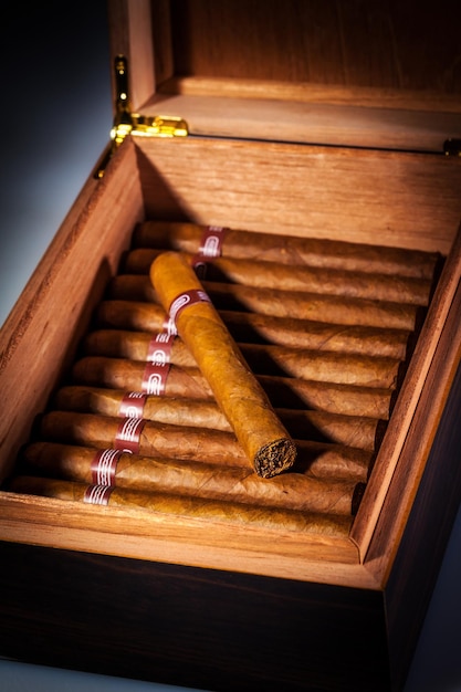 Primer plano de cigarros en caja humidor abierta