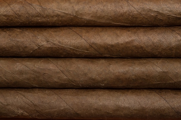 Primer plano de cigarros