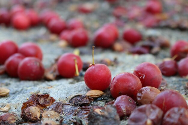 Primer plano de las ciruelas en el suelo