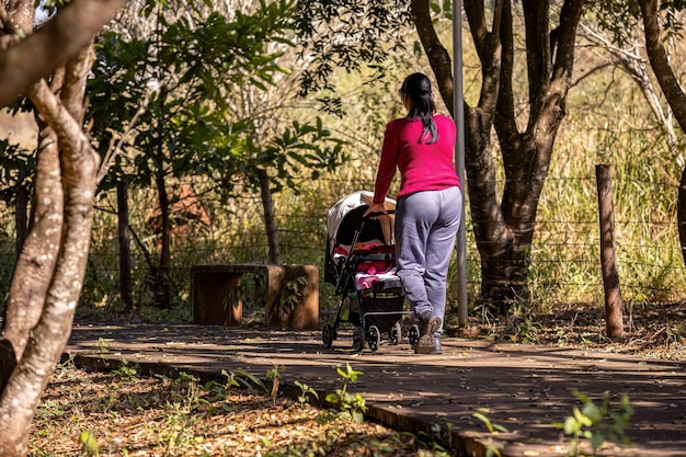 primer plano de un cochecito de bebé con un bebé recién nacido llevado por la madre