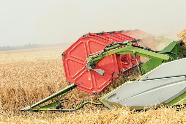 Primer plano Combinar la cosecha de un campo de trigo. Combine el trabajo de campo.