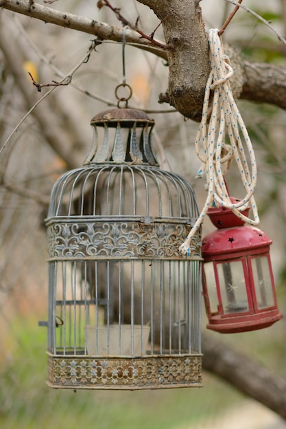 Foto primer plano del comedor para pájaros