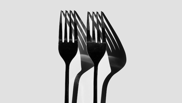 primer plano, de, comida, contra, fondo blanco