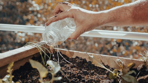 Foto primer plano de la comida en la mano