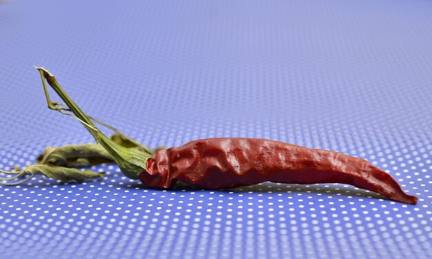 Primer plano de la comida en la mesa contra un fondo azul