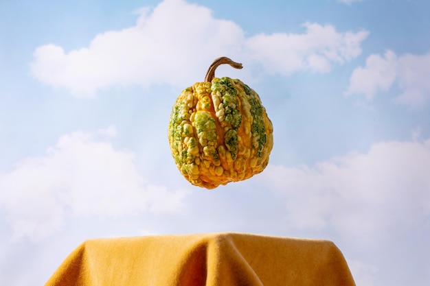 Foto primer plano del concepto creativo vegetal de calabaza amarilla sobre fondo de cielo decoración de otoño verduras orgánicas de otoño de granja vista de primer plano