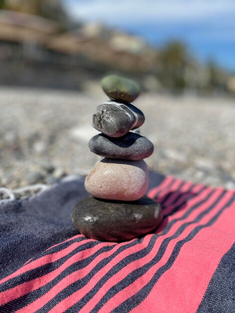 Foto primer plano de una concha de mar