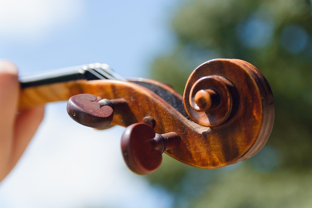 Foto primer plano de la concha del violín al aire libre