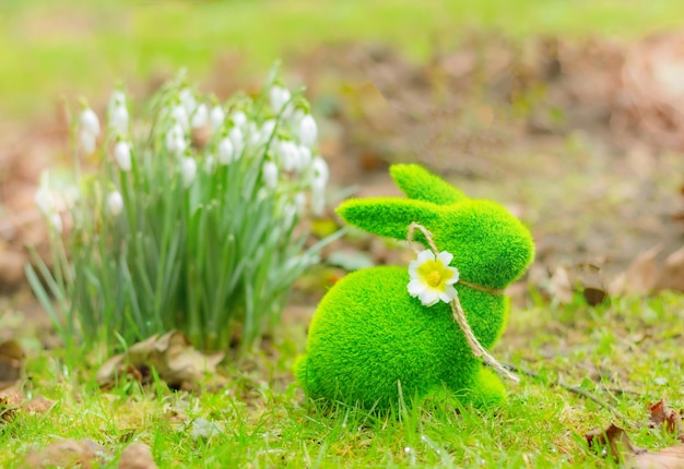 Primer plano de conejo de primavera de hierba verde con flores de campanillas blancas en el prado Conejito de Pascua Primavera
