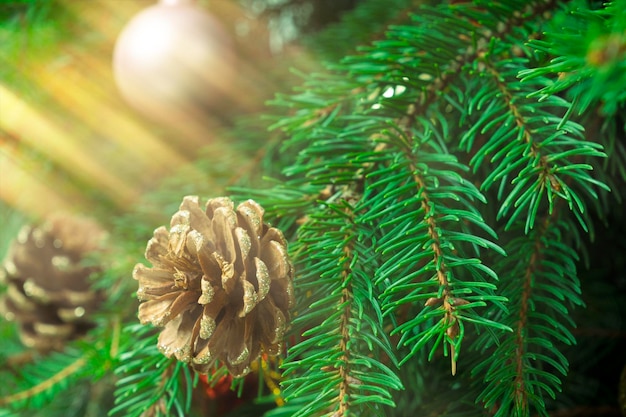 Primer plano de cono de abeto como decoración para el árbol de Navidad Concepto de Navidad sin residuos Árbol de Navidad decorado con adornos hechos de materiales naturales