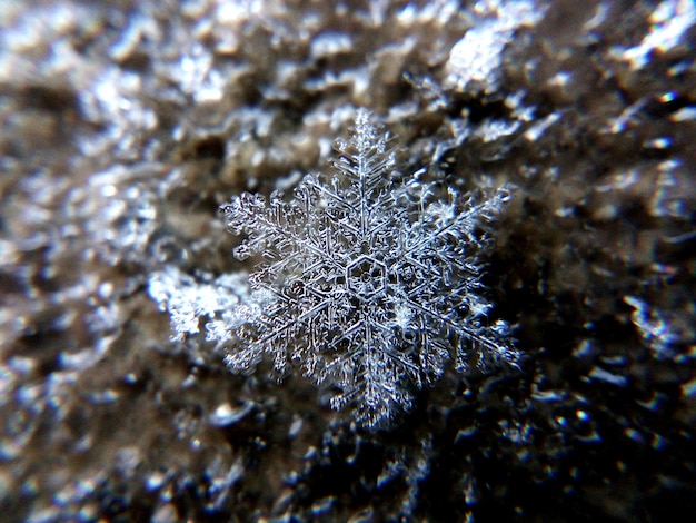 Foto primer plano de un copo de nieve