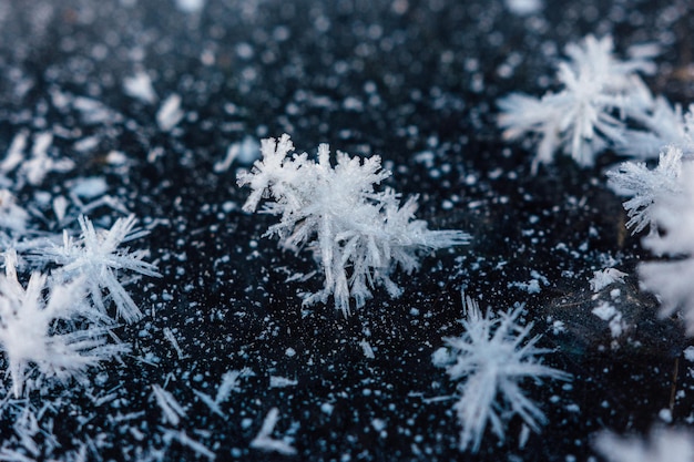 Foto primer plano de los copos de nieve durante el invierno