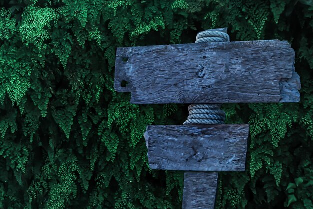 Primer plano de la cruz en el cementerio