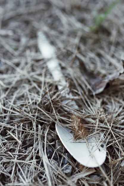 Foto primer plano de la cuchara en las plantas