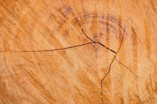 Primer plano y detalles de la madera que se corta con la hoja de sierra, fondo texturizado de madera