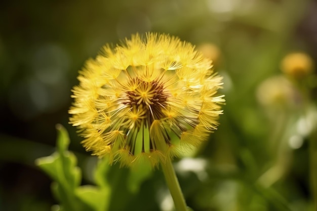 Un primer plano de un diente de león en una IA generativa de campo