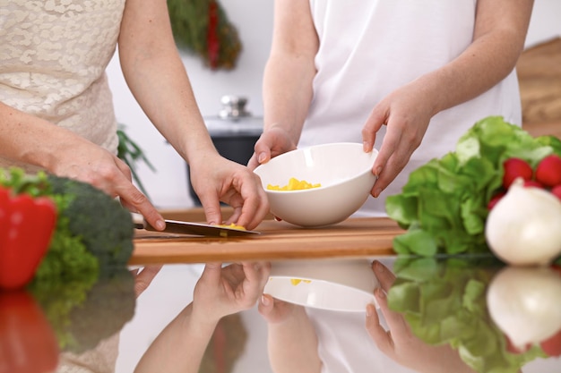 El primer plano de dos mujeres está cocinando en una cocina. Amigos divirtiéndose mientras preparan ensalada fresca.