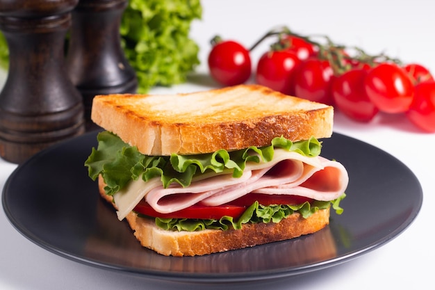 Primer plano de dos sándwiches tostados con jamón fresco, queso y verduras al fondo.