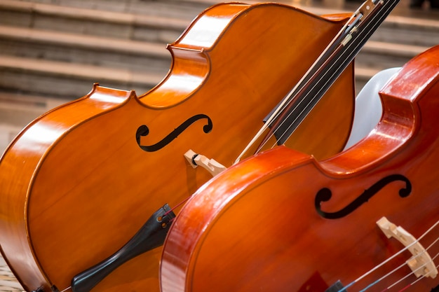 Primer plano de dos violonchelos. violoncelo.