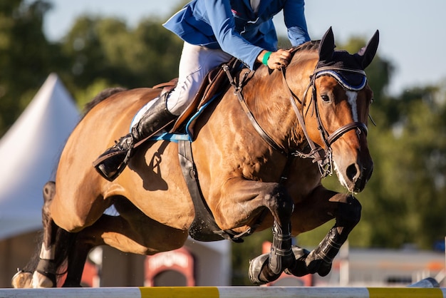 Foto primer plano de la equitación