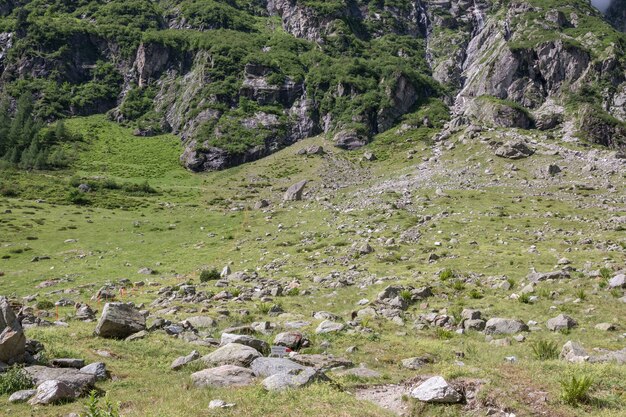 Primer plano de las escenas de las montañas, caminar hasta el puente Trift en el parque nacional de Suiza, Europa. Paisaje de verano, clima soleado, espectacular cielo nublado y día soleado