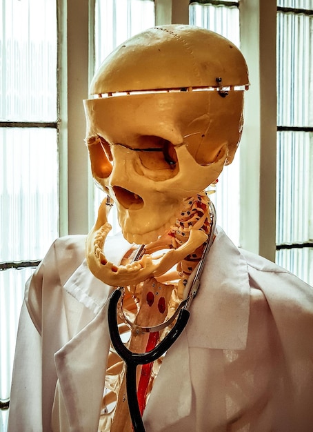 Primer plano del esqueleto con bata de laboratorio y estetoscopio en el hospital